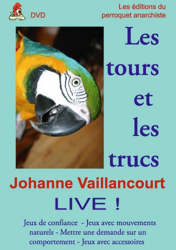 DVD Les tours et les trucs